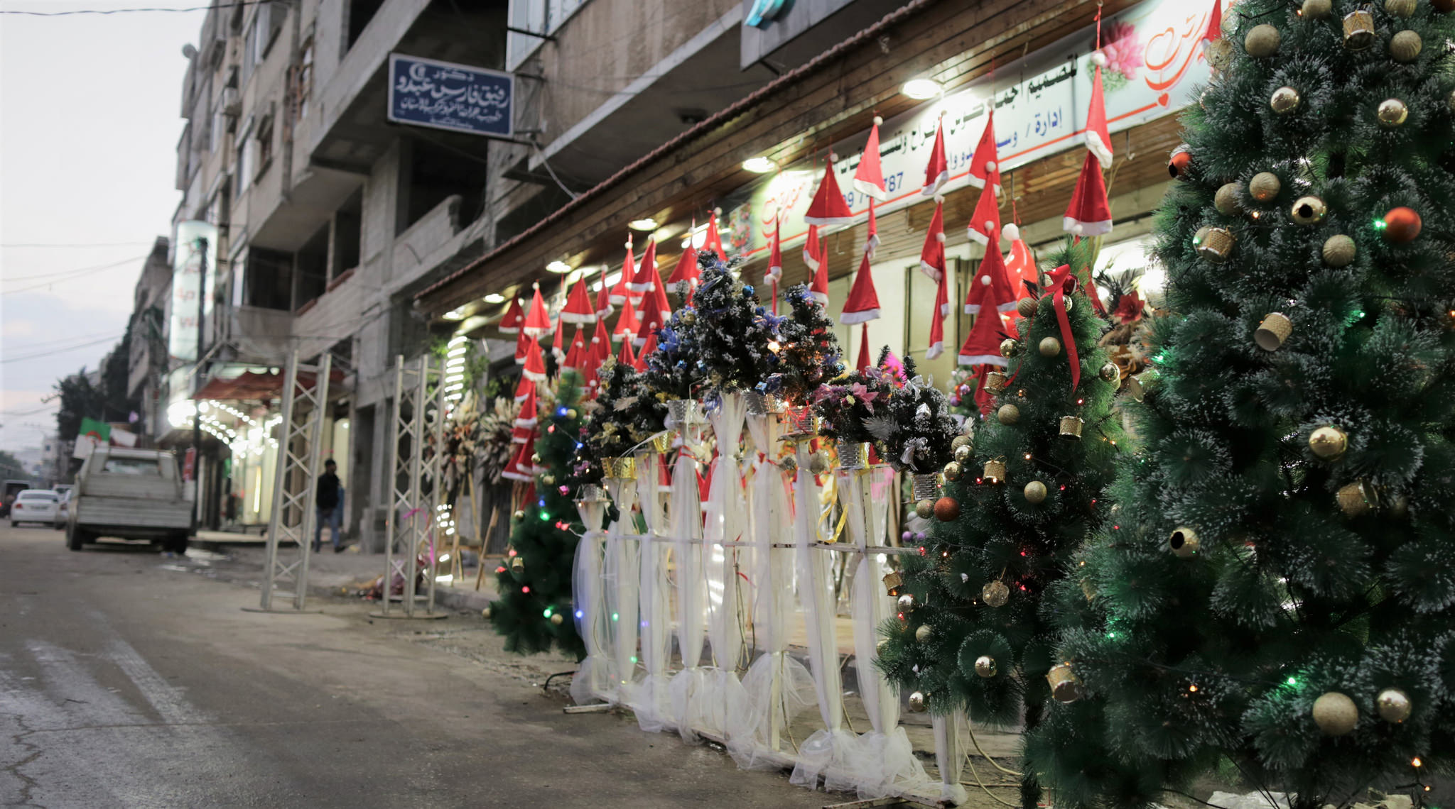 Christmas trees for sale, Gaza