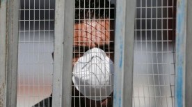 Coronavirus Is a Death Sentence for Palestinians Caged in Gaza