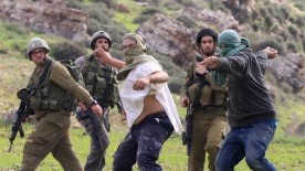 50 Years of Israeli Military Rule: Settlements & Settlers