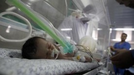 Palestinian Infant Mortality Rate at 50-year High