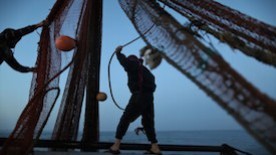 A Night At Sea With the Fishermen of Gaza