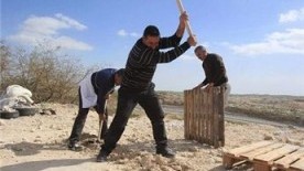 Activists rebuild protest camp against Bedouin displacement
