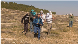 Masked Israelis Attack Activists Accompanying Palestinian Farmers in West Bank
