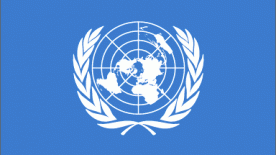The United Nations Independent Commission of Inquiry on the 2014 Gaza Conflict
