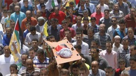 The Death of Ali Dawabsheh
