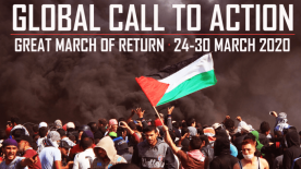 Virtual call to action for Palestine: COVID-19, Gaza and the Struggle for Justice