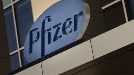 Verizon. Pfizer. Bank of America. U.S. Corporations Are Funding Israeli Settlements.