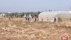 Israeli Forces Injure Dozens of University Students in Tulkarem