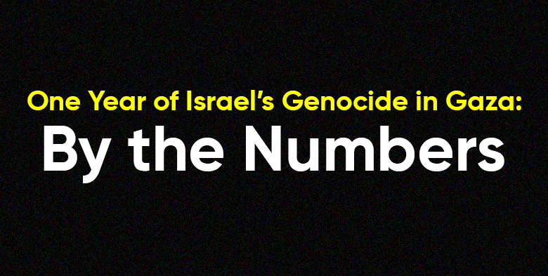 Fact Sheet: One Year of Israel’s Genocide in Gaza, By the Numbers